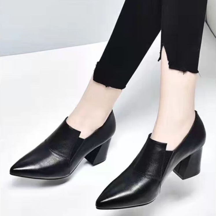 Pointed Toe Chunky Heel Pumps