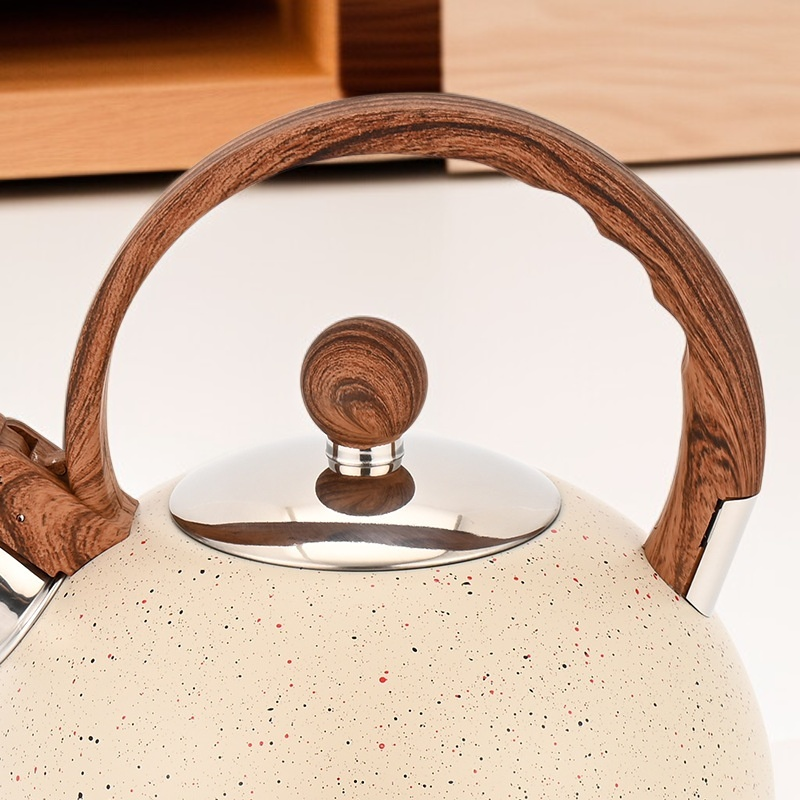 Rust-resistant thickened stainless steel kettle