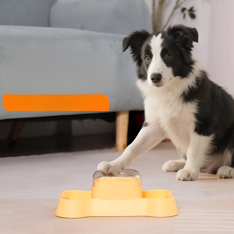distributeur automatique de nourriture pour animaux de compagnie