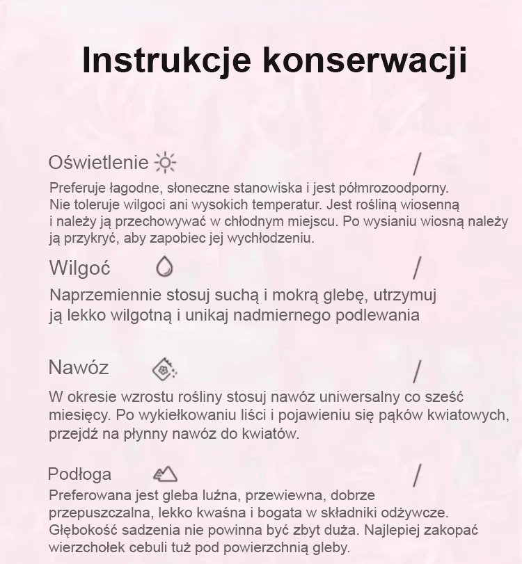 翻译件-JS-【思念之花】全年开花防寒耐热彼岸花种球-1298117-系统_14.jpg