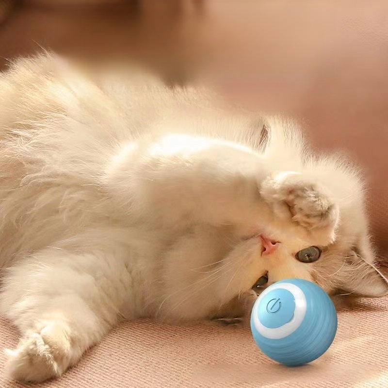 고양이 공 장난감