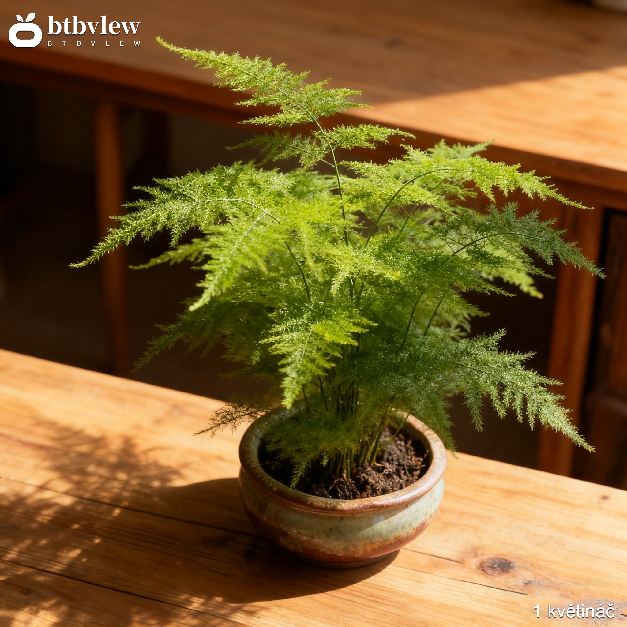 Realistická bambusová kapradina jako dekorace