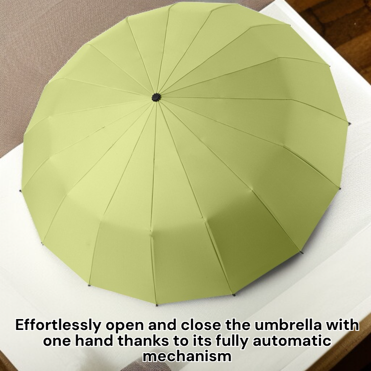 Unisex Fully Automatic Foldable Umbrella