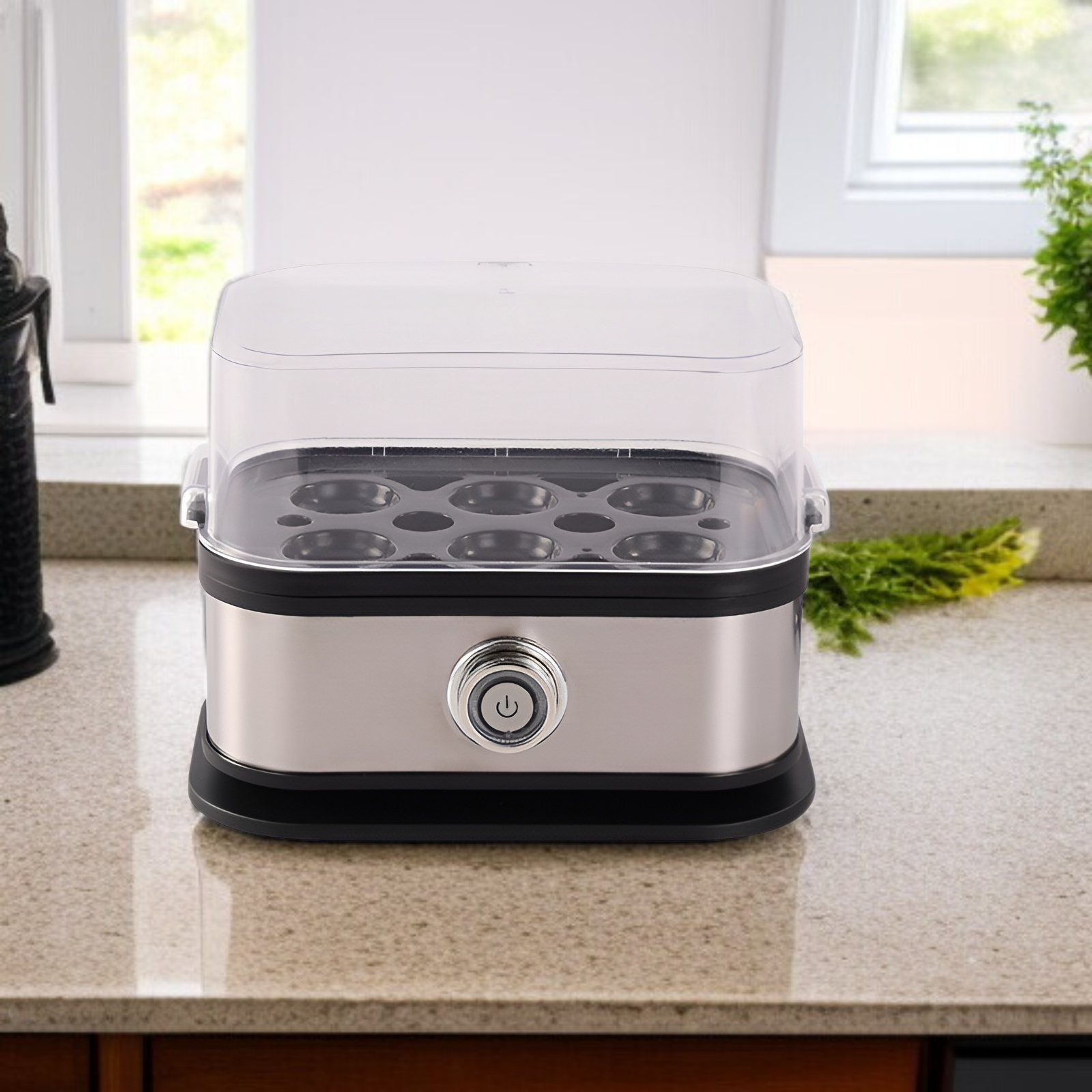 Stainless steel egg cooker electric steam cooker anti-dry burning one-button operation small mini po