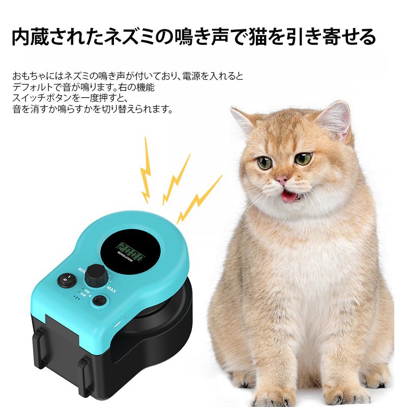 リモコンでいつでもどこでも、猫の好奇心を刺激する羽遊び