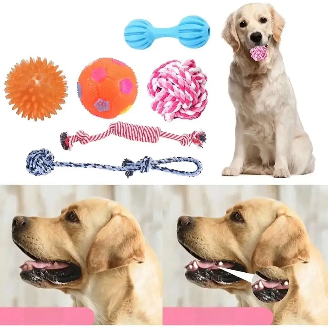 寵物犬益智發聲玩具套裝 泰迪金毛專用