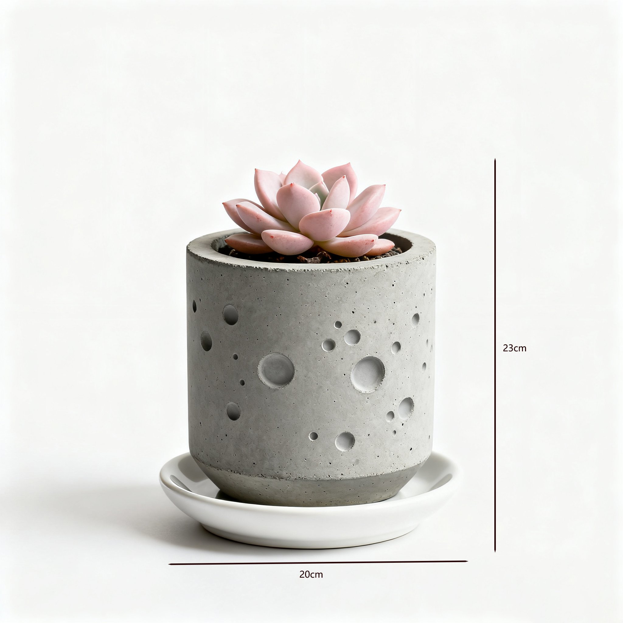 Suculentas pequeñas en macetas elegantes