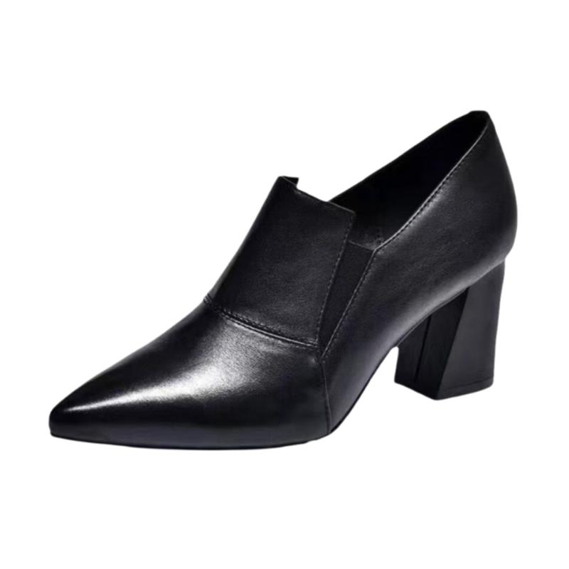 Pointed Toe Chunky Heel Pumps
