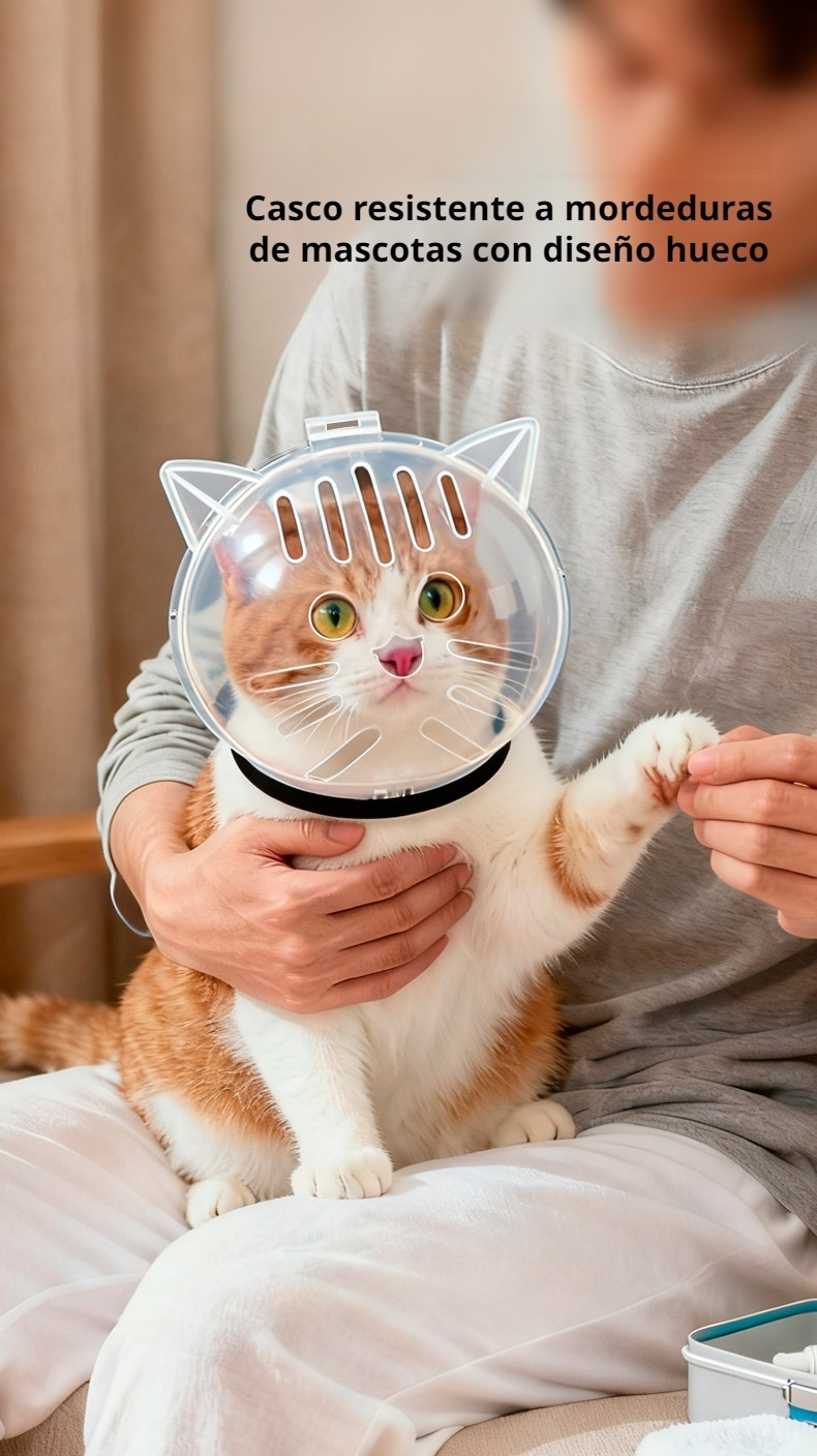 Cubierta de cabeza para mascotas puesta en perro pequeño