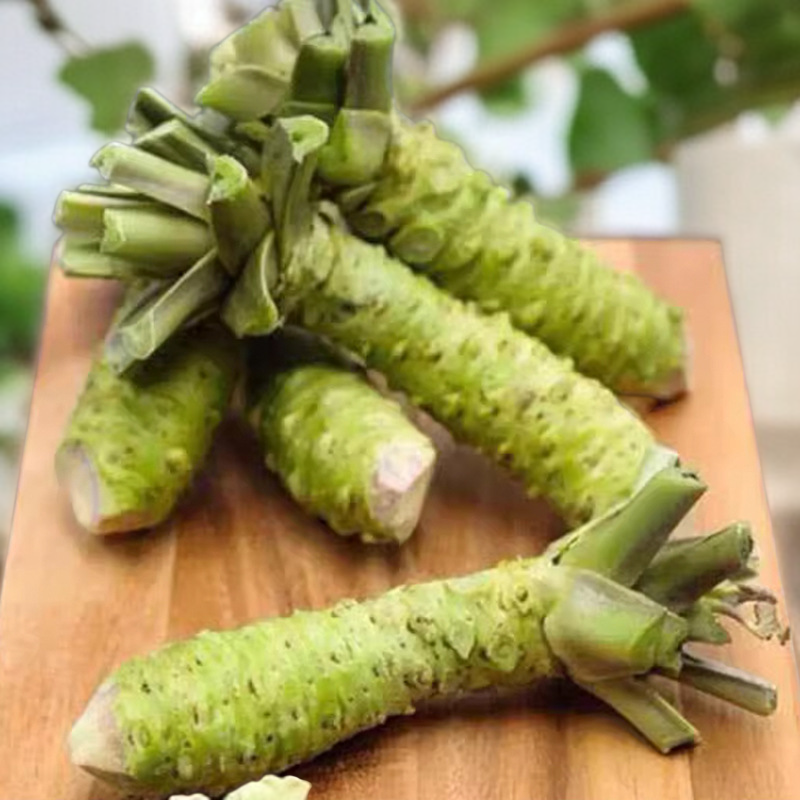 Senfsamen für den Hausgarten, das ganze Jahr verwendbar