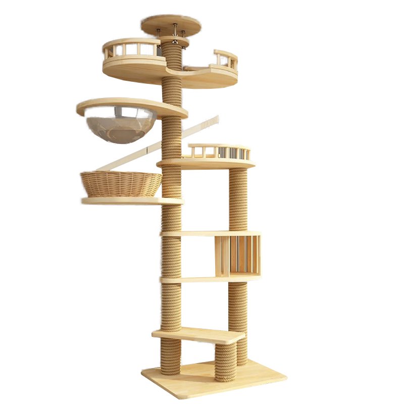 고양이가 나무를 기어오르다.