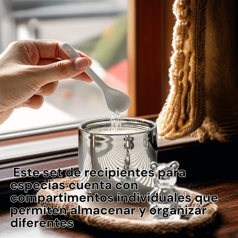 Set de recipientes para especias con caja de almacenamiento