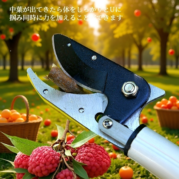 伸縮式フルーツピッカー ガーデンツール ザボン 勝負 高枝柿摘み スチールナイフ