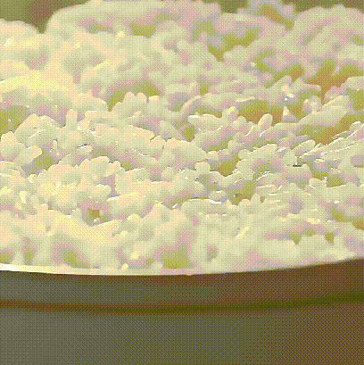 一人暮らし用 多機能 デジタル表示付き電気調理鍋