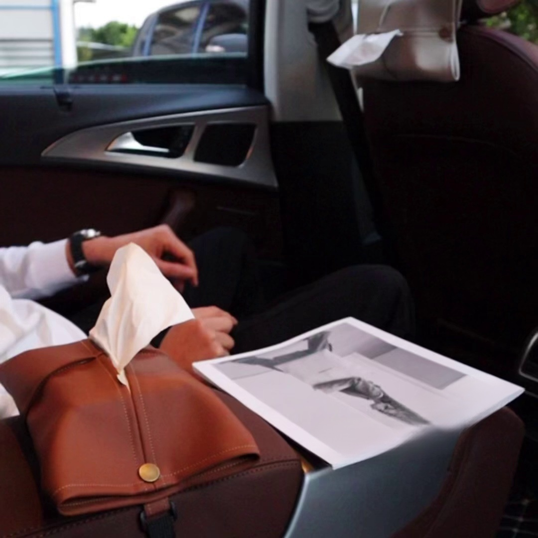 車載ティッシュケース、スタイリッシュな調節可能デザイン、シートアームレスト・サンバイザー専用