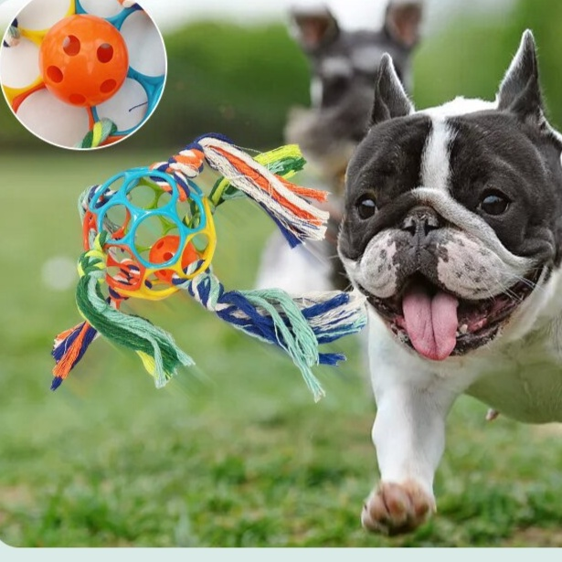 Robustes Glockenspielzeug für Kinder