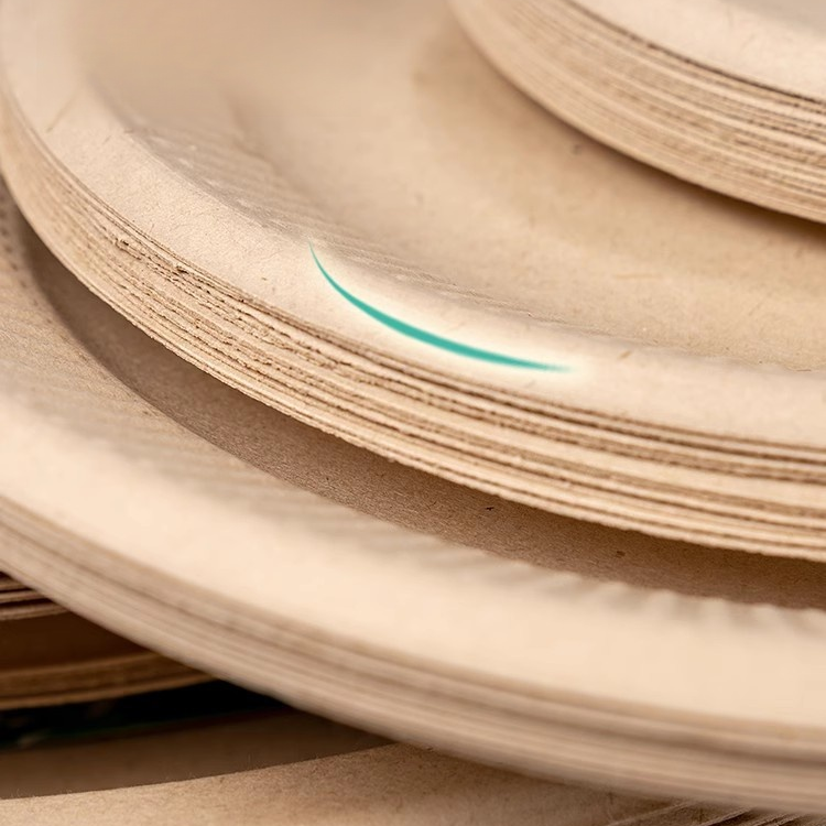 Speiseteller mit Blumenmuster