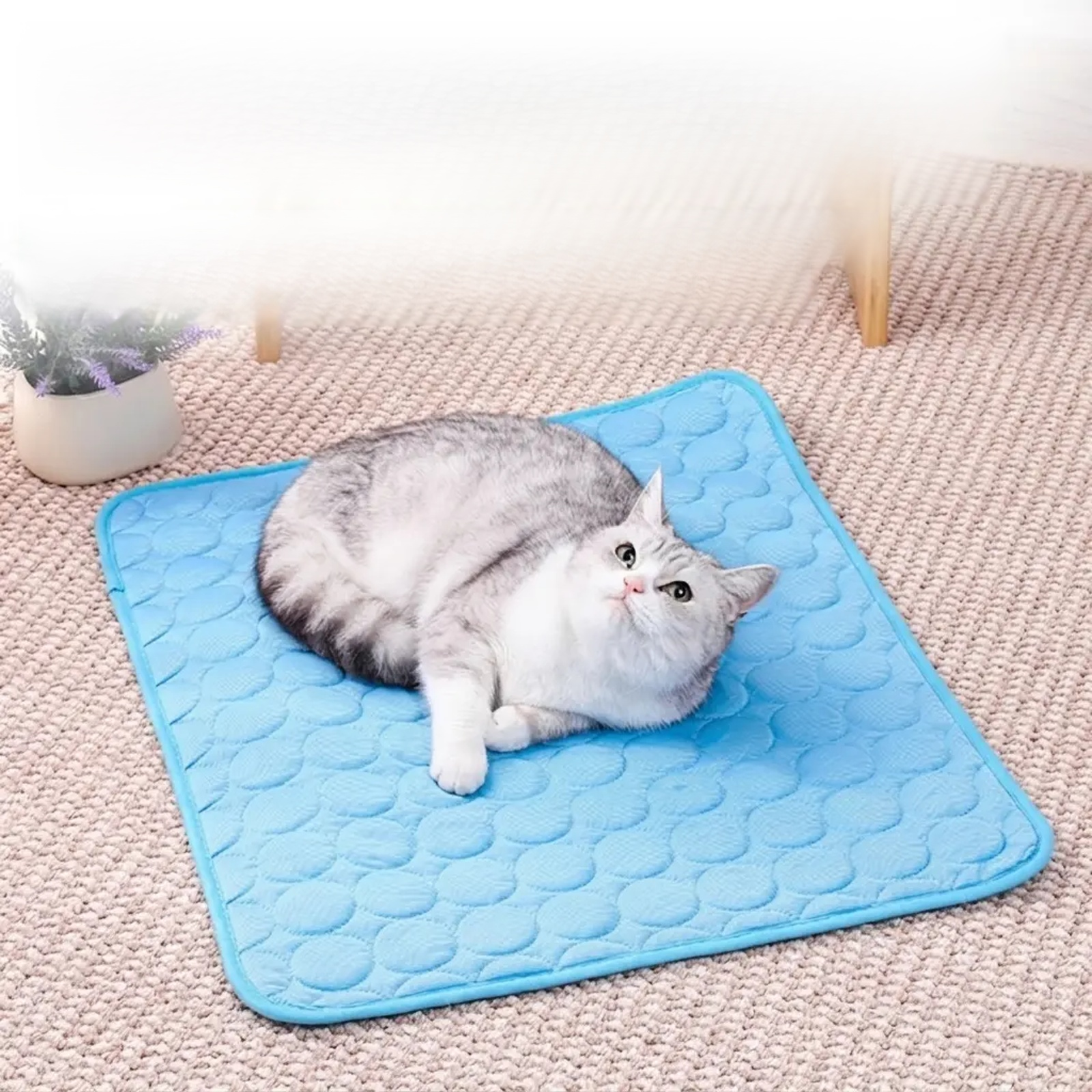 Pet Cooling Sleeping Mat