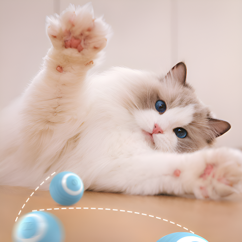 Jouet magnétique intelligent pour chat, balle interactive rechargeable