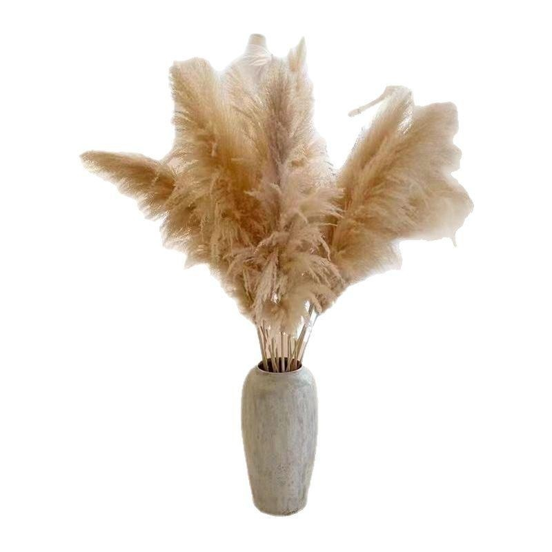 Big Reed True Flower Dried Flower Decoration