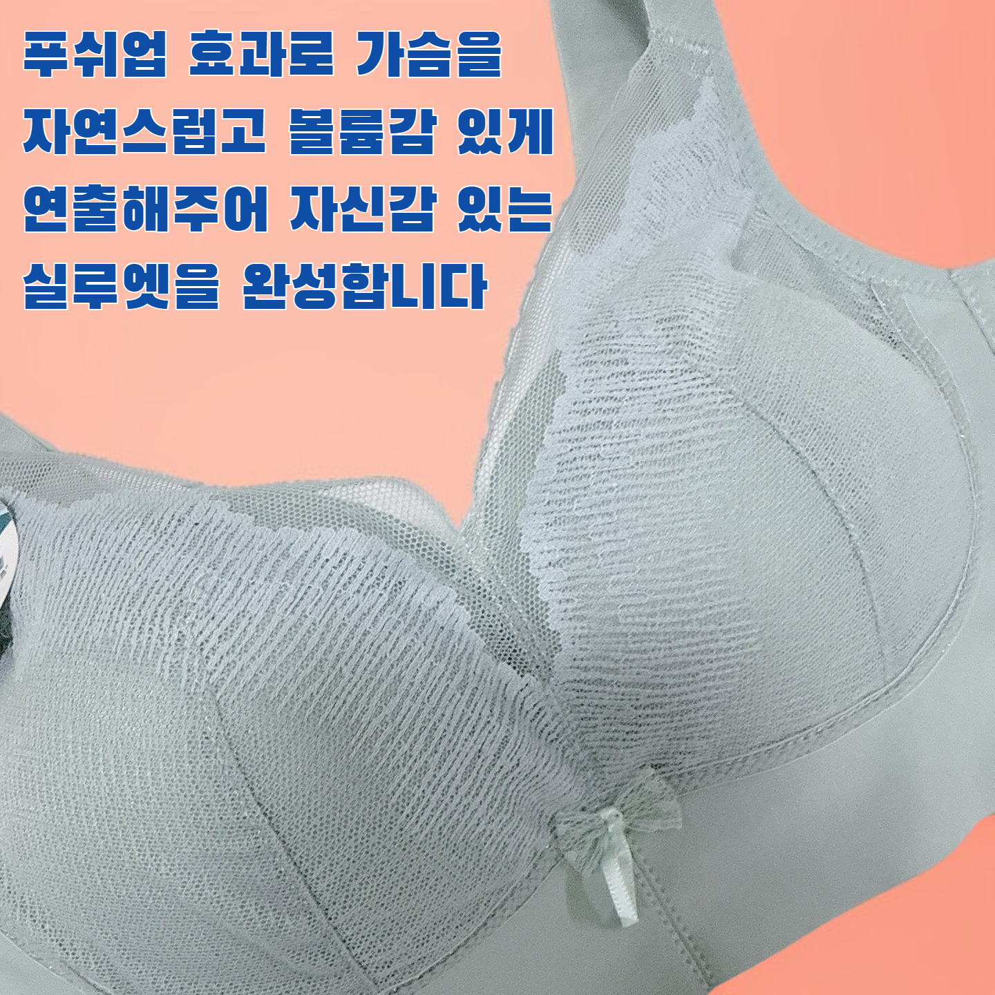 푸쉬업 패디드 브라