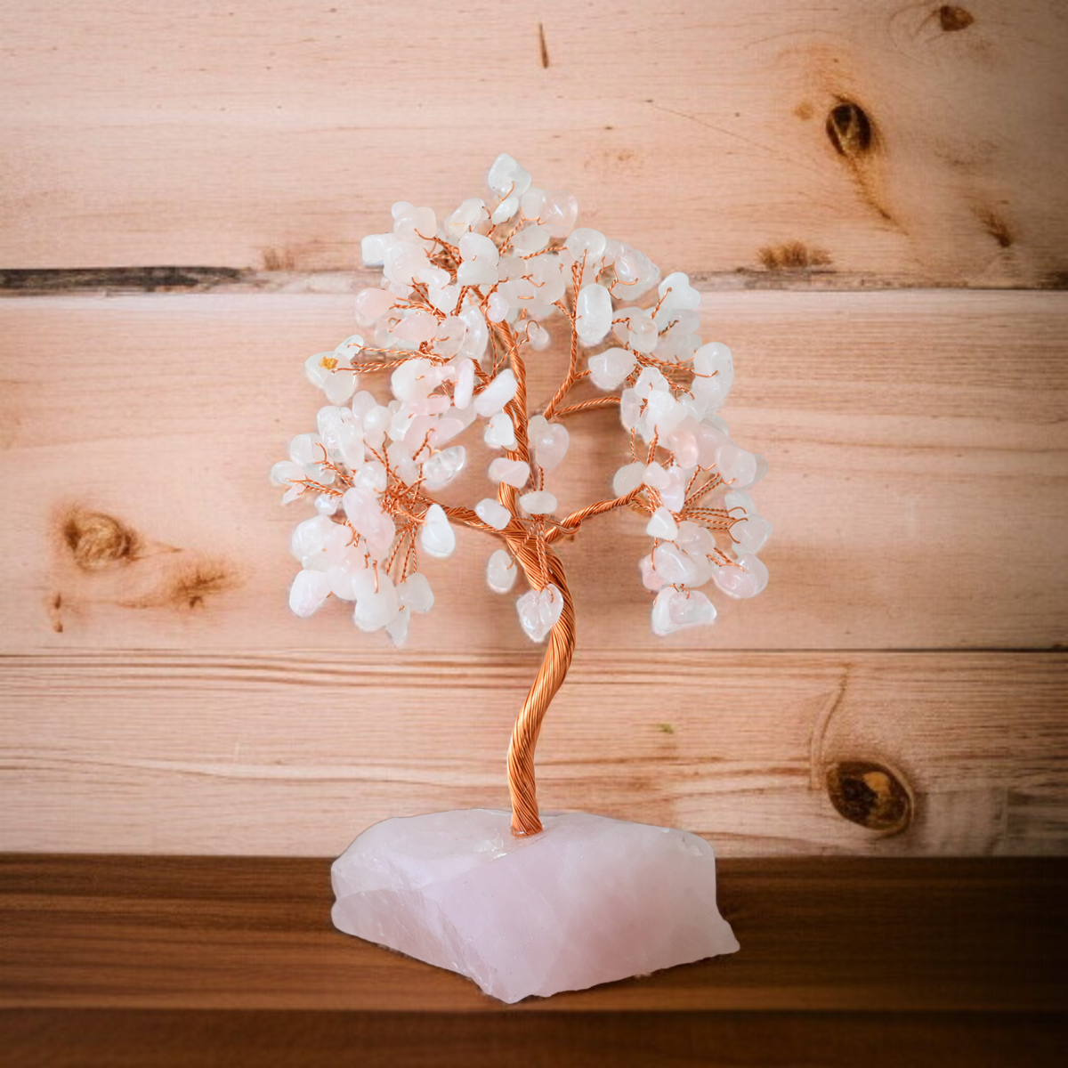 집안에 놓기 좋은 부자 나무 장식품