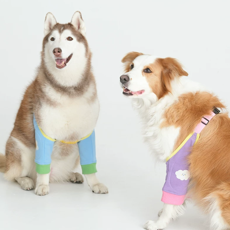 中型・大型犬用ひざサポーター