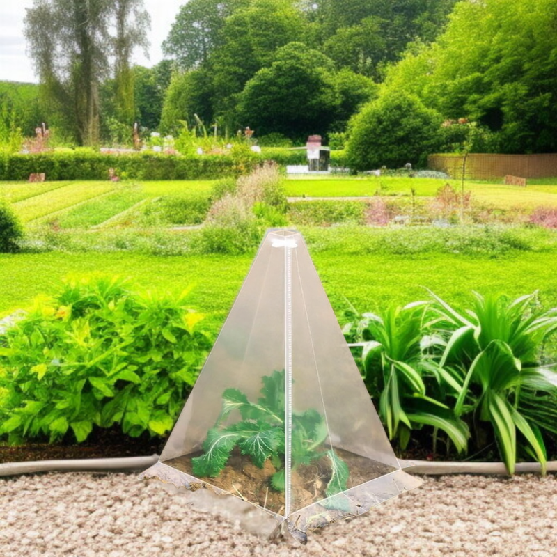 鳥や霜害から植物を保護するための植物コーングリーンベルカバーガーデン苗カバー