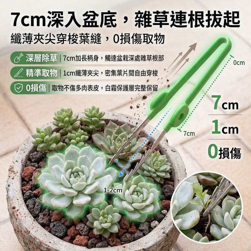 多肉植物或夾取物品的鉗子