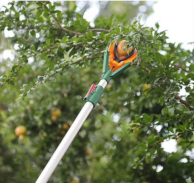 Praktyczne akcesorium ogrodowe – silikonowa zrywaka owoców