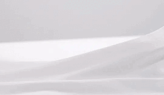 1.gif