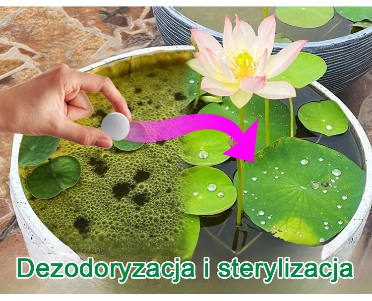 1_07.jpg