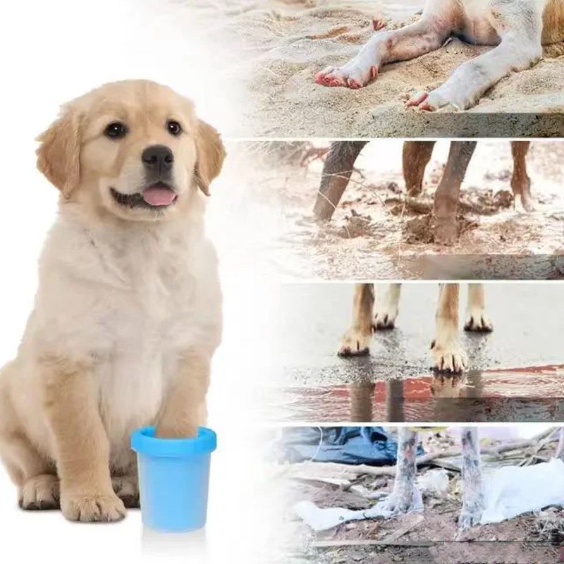 ทำความสะอาดกรงเล็บสุนัข