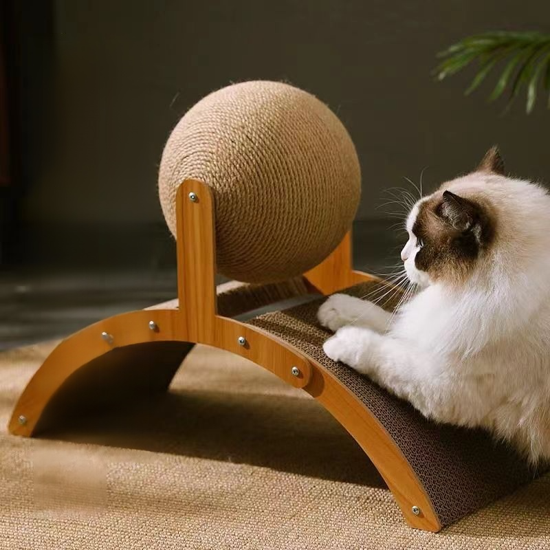 ยืนขึ้นแมว Scratch บอล