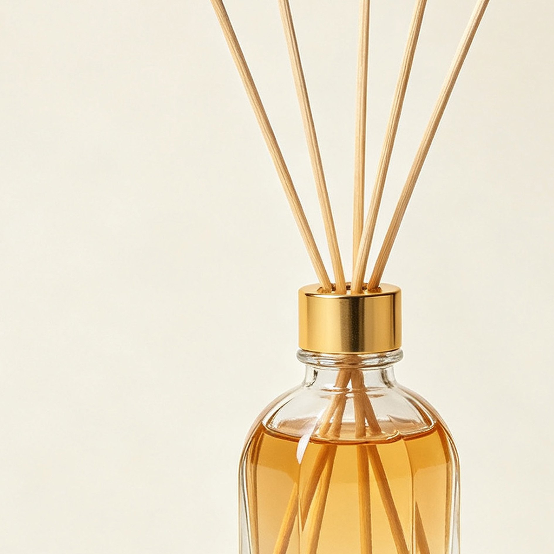 Forest Reed Fragrance