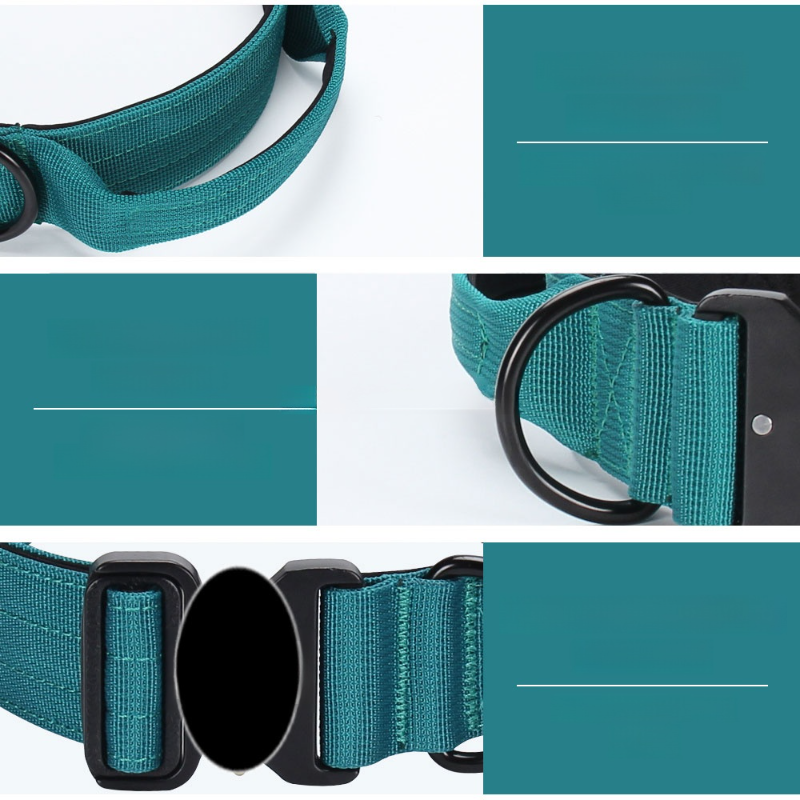 調節可能な金属バックル付きペット用首輪