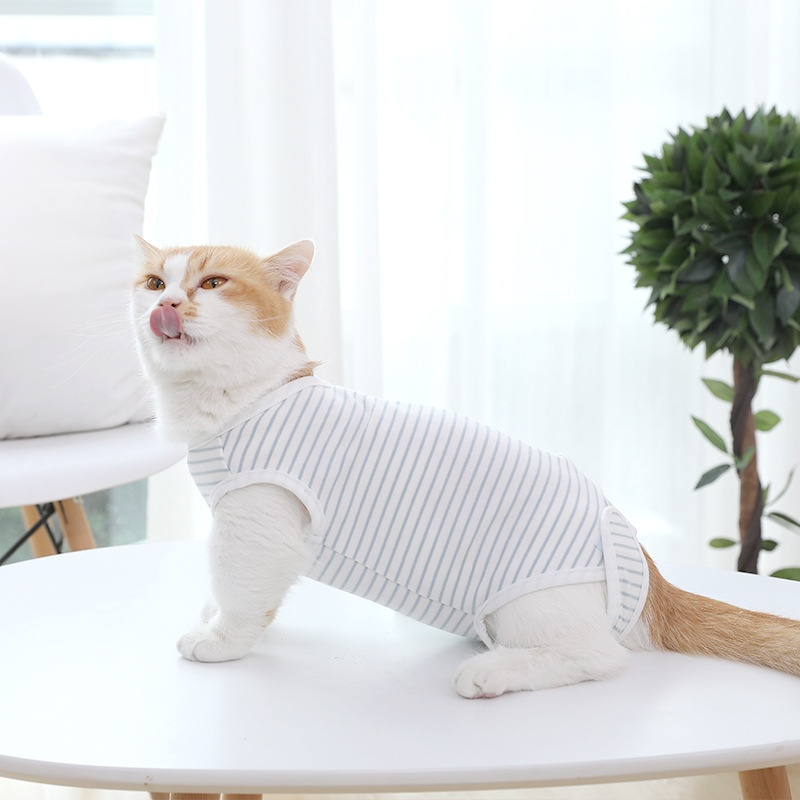 고양이 의류 사계절 얇은 버전