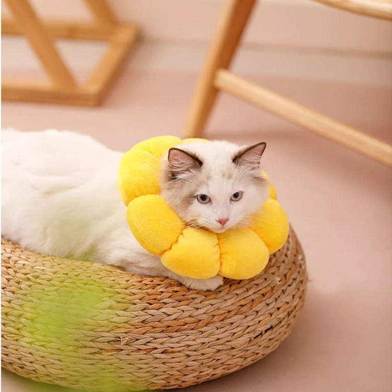 แถบคาดศีรษะและปลอกคอที่นุ่มขึ้น ป้องกันการกัดและเลีย