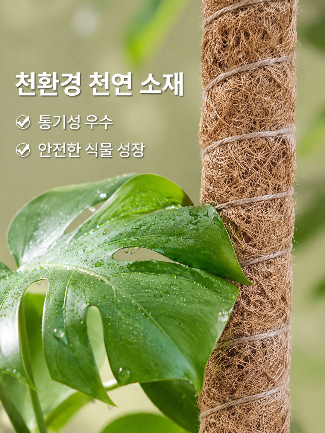 거북등 대나무 지지대 녹나주 고정 지지대 종려주