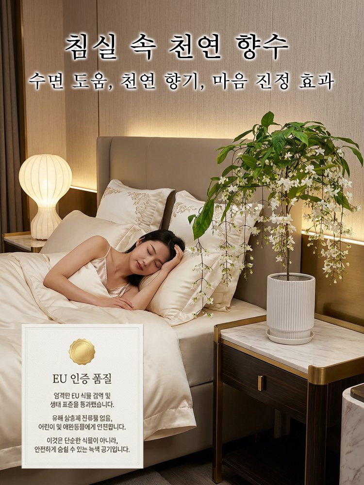 【향기 폭발】늘어지는 자스민 씨앗
