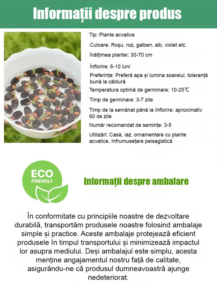 Lotus decorativ hidroponic