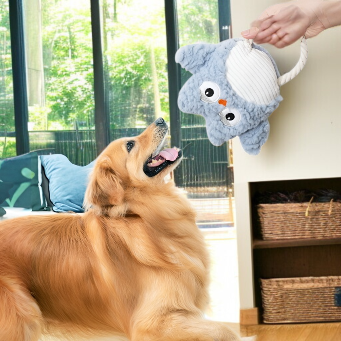 犬用おもちゃ、ぬいぐるみ、鳴る、歯ぎしり、噛み応え、退屈解消、テディ、コーギー、ビション、ゴールデンレトリバーのペット用品