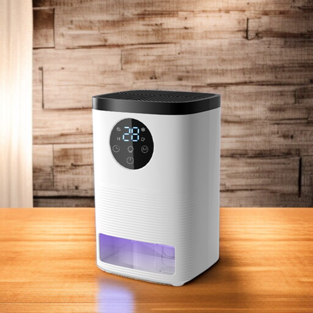 Kleiner tragbarer Luftentfeuchter für Schlafzimmer und Keller im Haushalt