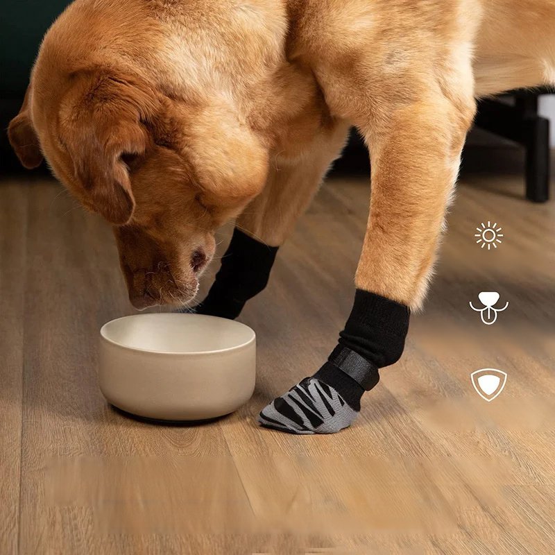 New striped dog pet socks