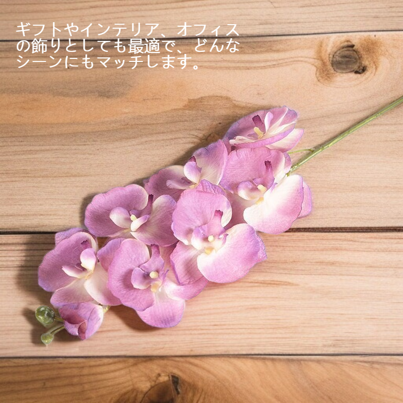 ギフト用に最適なコチョウランダミーフラワー