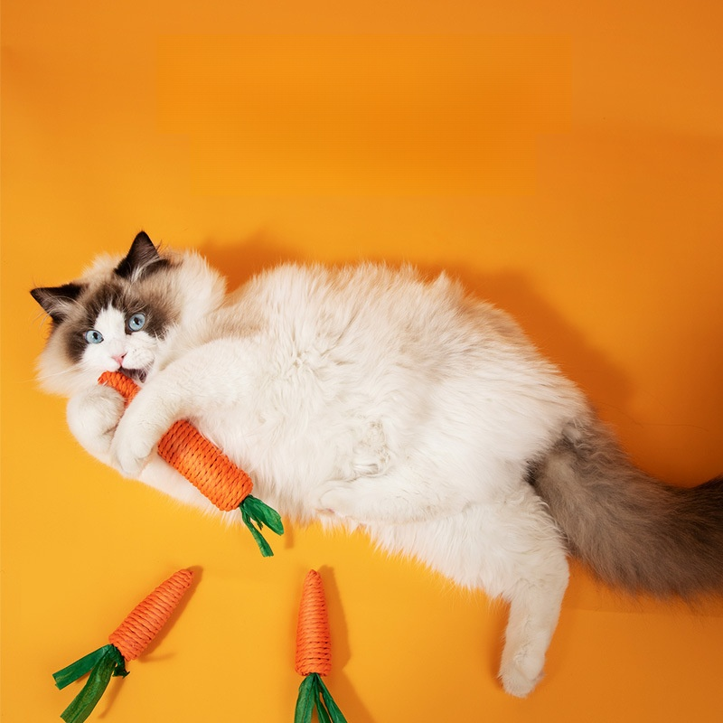 貓咪解悶寵物玩具
