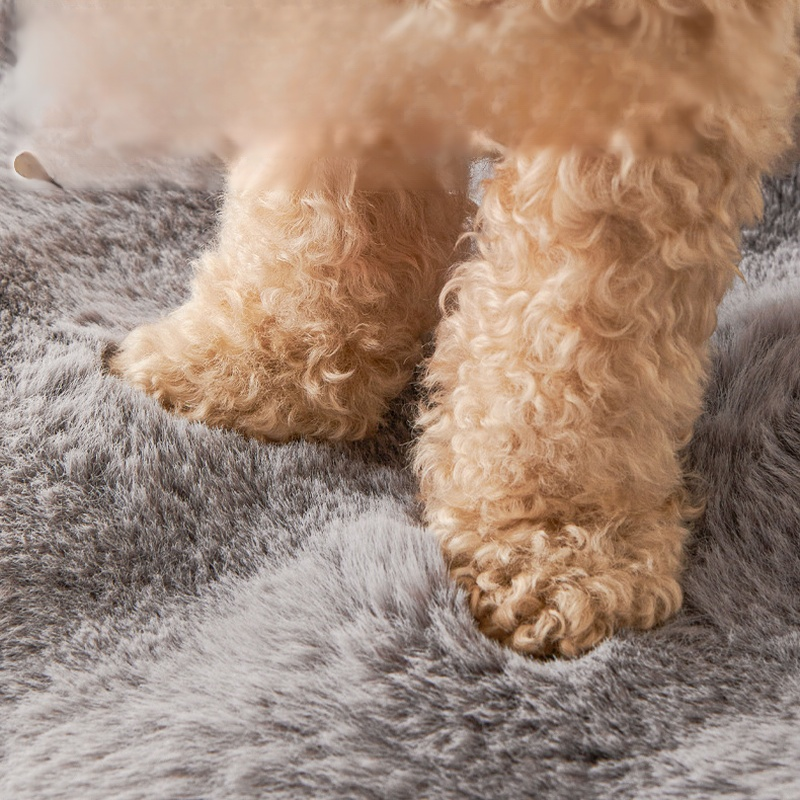 내구성이 뛰어난 애완동물 매트