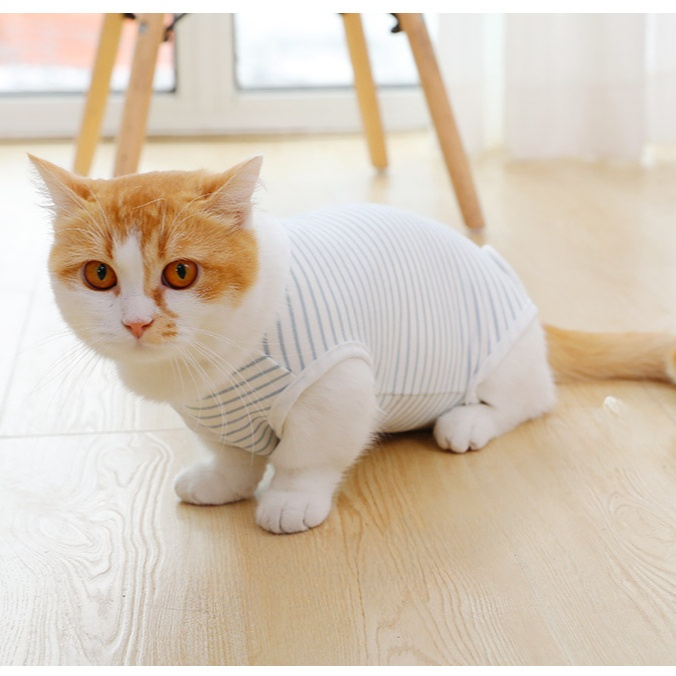 Cat Clothing Four Seasons Thin Edition