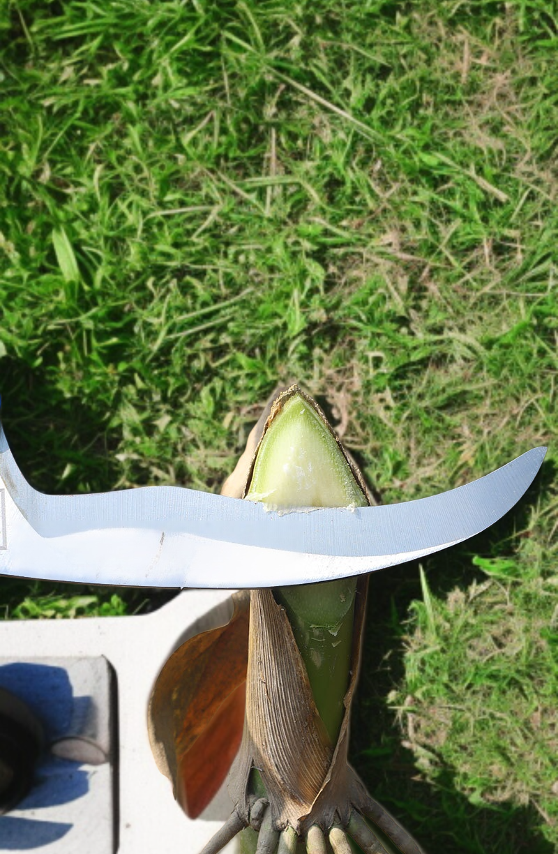 망간강 전용 예초 도구 야외 농용 낫 수확 칼 도구 접이식 칼 낫