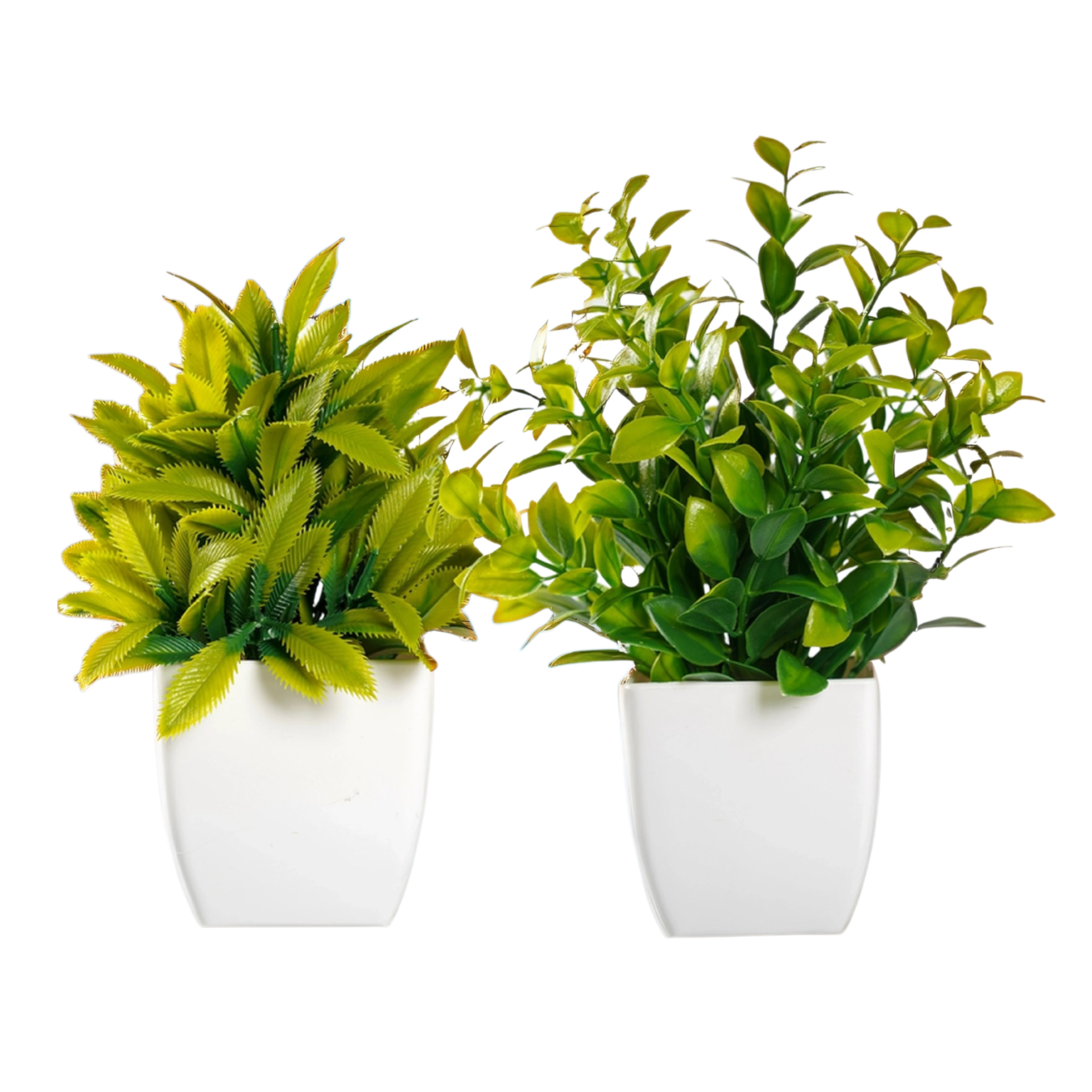 ラベンダーとローズマリーの鉢植え